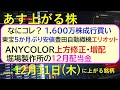 あす上がる株　2025年１２月１１日（木）に上がる銘柄。ＡＮＹＣＯＬＯＲ上方修正・増配。豊田自動織機にエリオット。東宝５か月ぶりの安値。堀場製作所配当～最新の日本株情報。高配当株の株価やデイトレ情報～