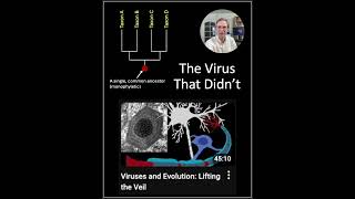 The Virus That Didnt