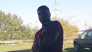 Ревизор на территории! Ревизор на территории!