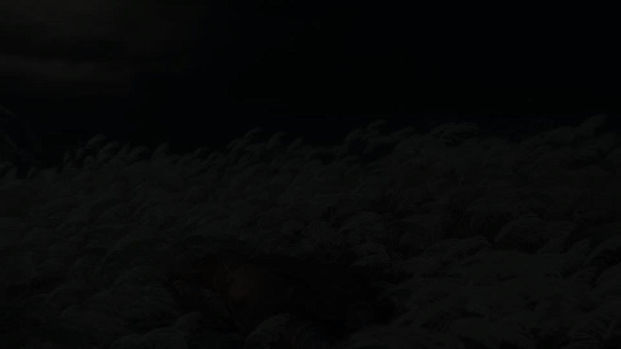 Ай крысёныш