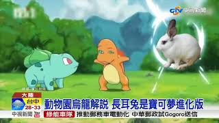 濃妝.衣服紅配綠 千年佛像遭毀容式修復│中視新聞 20180815