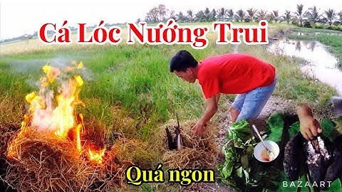 Cá Lóc Nướng Trui Rơm Món Ăn Miền Tây | Quân Vlogs | #81 #calocnuongtrui