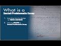 What is Social / Problematic Essay?
