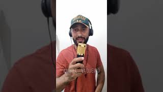 Gatinha-Rai Saia Rodada