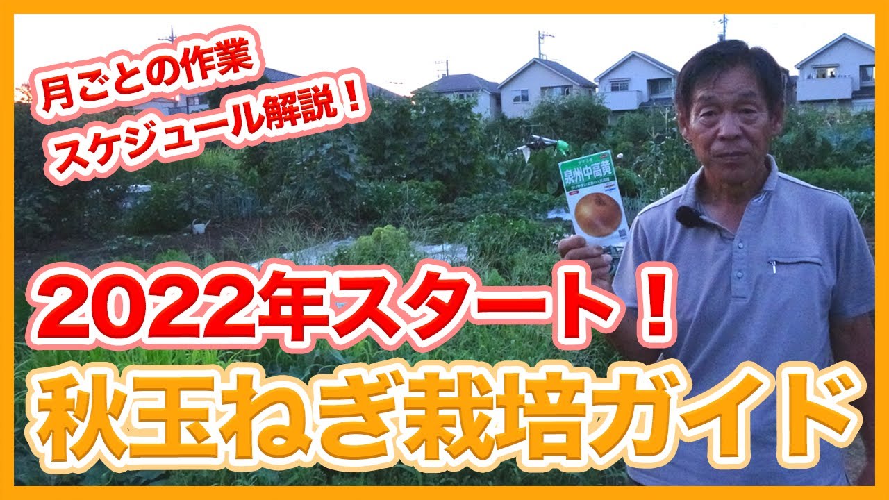 Tips for starting onion cultivation in 2022 from a Japanese farmer