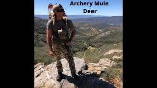 SoCal Archery Mule Deer