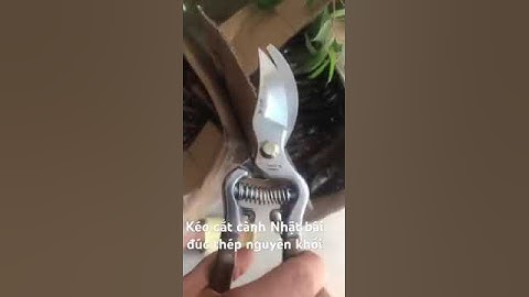 Kéo cắt cành Nhật bãi đúc thép nguyên khối siêu sắc bén.Zalo 0943860285