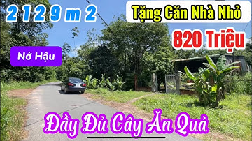 ( Đã Bán) Đất Đẹp Mặt Tiền Nhựa – Nở Hậu, Có Nhà 💥 Cây Ăn Trái Đầy Vườn Chỉ 820 Triệu