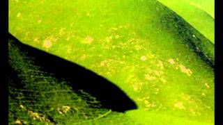 Another Green World-Brian Eno