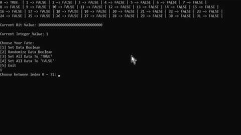 Bit Data Program Demo
