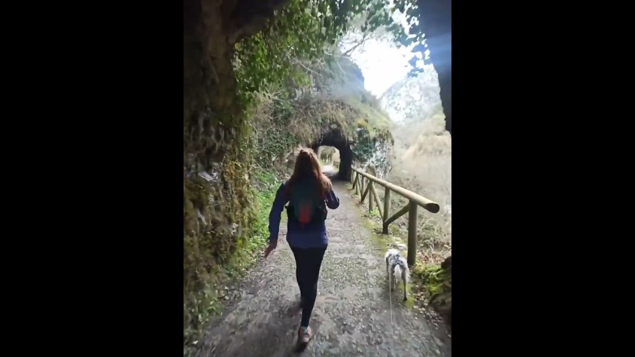 Senda del Oso. Entre Proaza y Caranga de abajo. Asturias