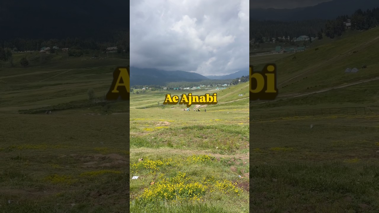 Ae Ajnabi Kashmir 2026 Lyrics Video | #trending #video #kashmir #adityarikhari