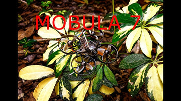 Mobula 7 - FPV DVR Footage