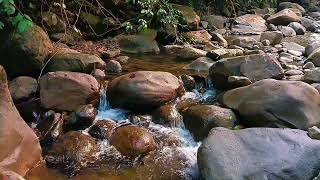 Beautiful River Sounds, Calming Sounds of Nature for Sleeping, Sound of Water Between the Rocks