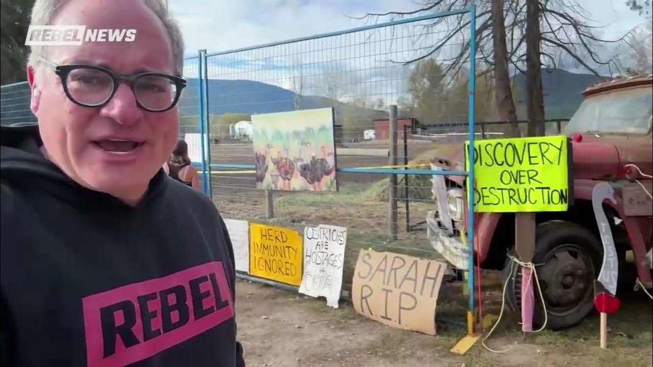RAW: Feds dodge transparency on Ostrich kill pen, hide behind RCMP blockade