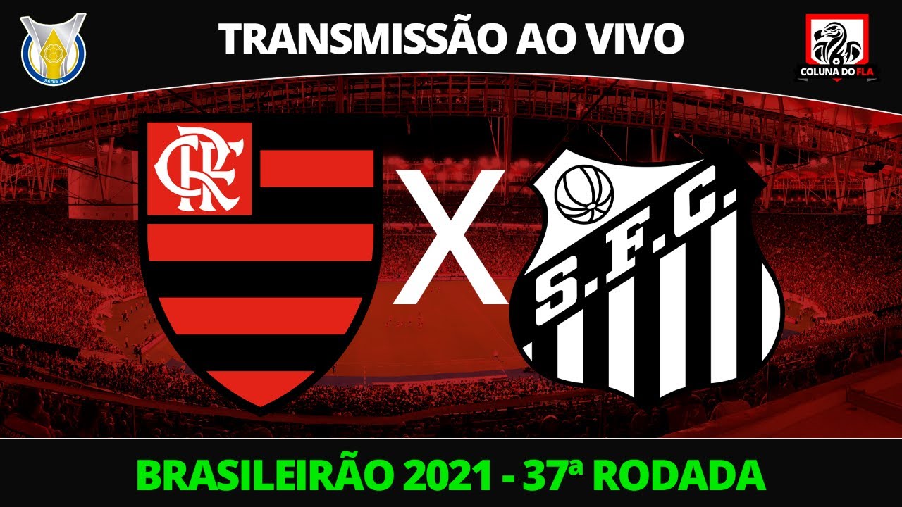 Campeonato Brasileiro  Flamengo x Santos - AO VIVO 