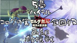 コログの実 宝箱 魔物の巣 全回収 #1５ ５章 ハイラル西部救援戦