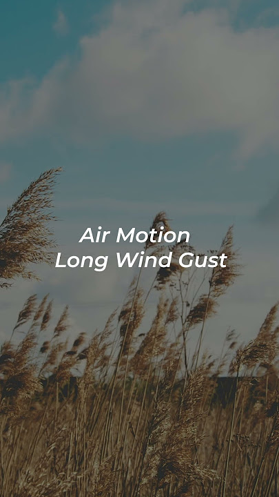 Air Motion - Long Wind Gust  Sound Effect