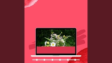 Sublime Backdrops for Relaxing and Reading Time