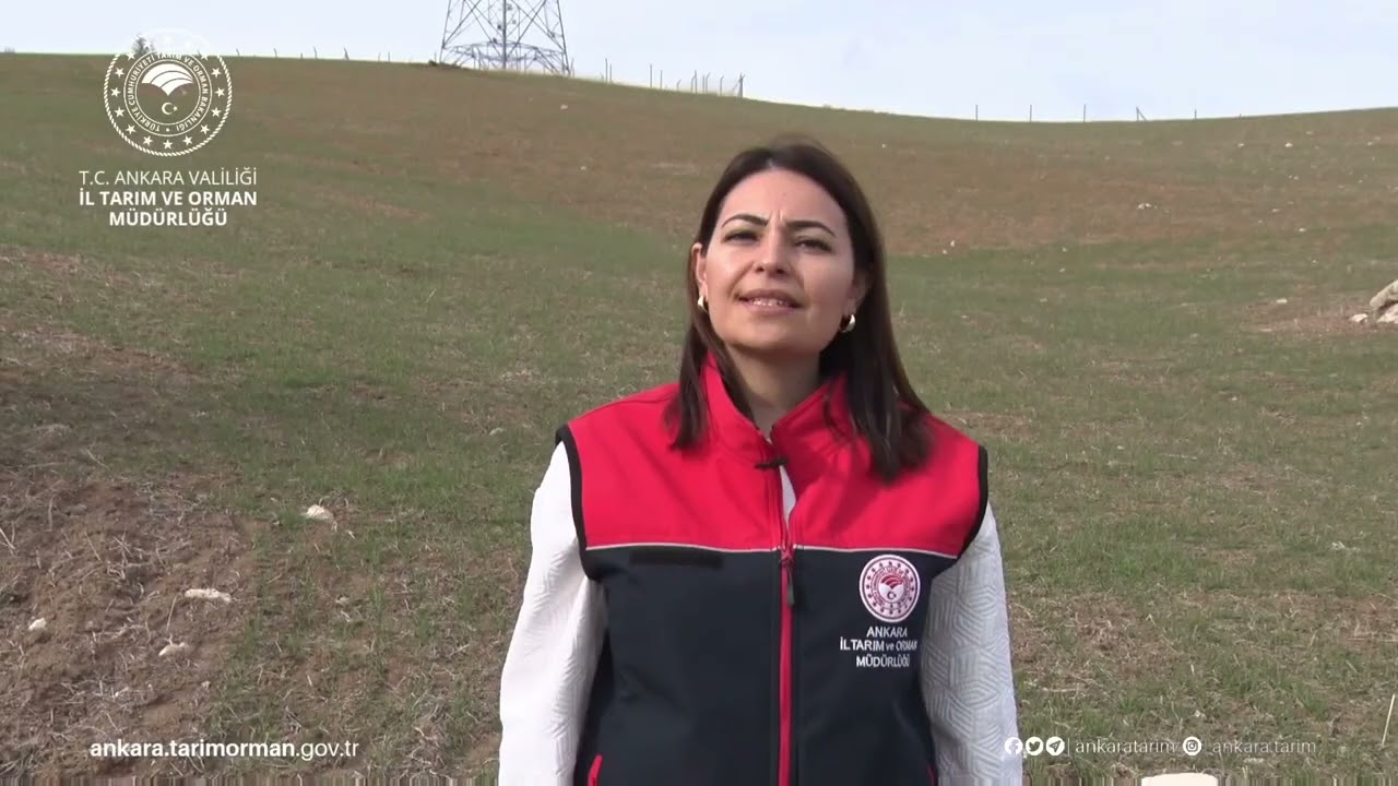 Tarla Faresi İle Mücadele