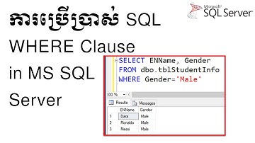 ការប្រើប្រាស់ SQL WHERE Clause in MS SQL Server