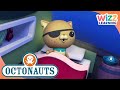 Winter with the Octonauts | Wizz Learning