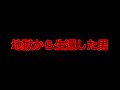 地獄から生還した男ナッパ芸人ぴっかり高木