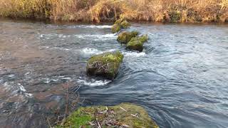 An der Lippe bei Bergkamen