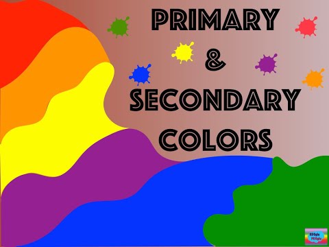 #Colors Primary & Secondary Colors
