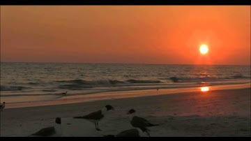 سورة هود كاملة محمد صديق المنشاوي تلاوة مجودة مؤثرة خاشعة مبكية