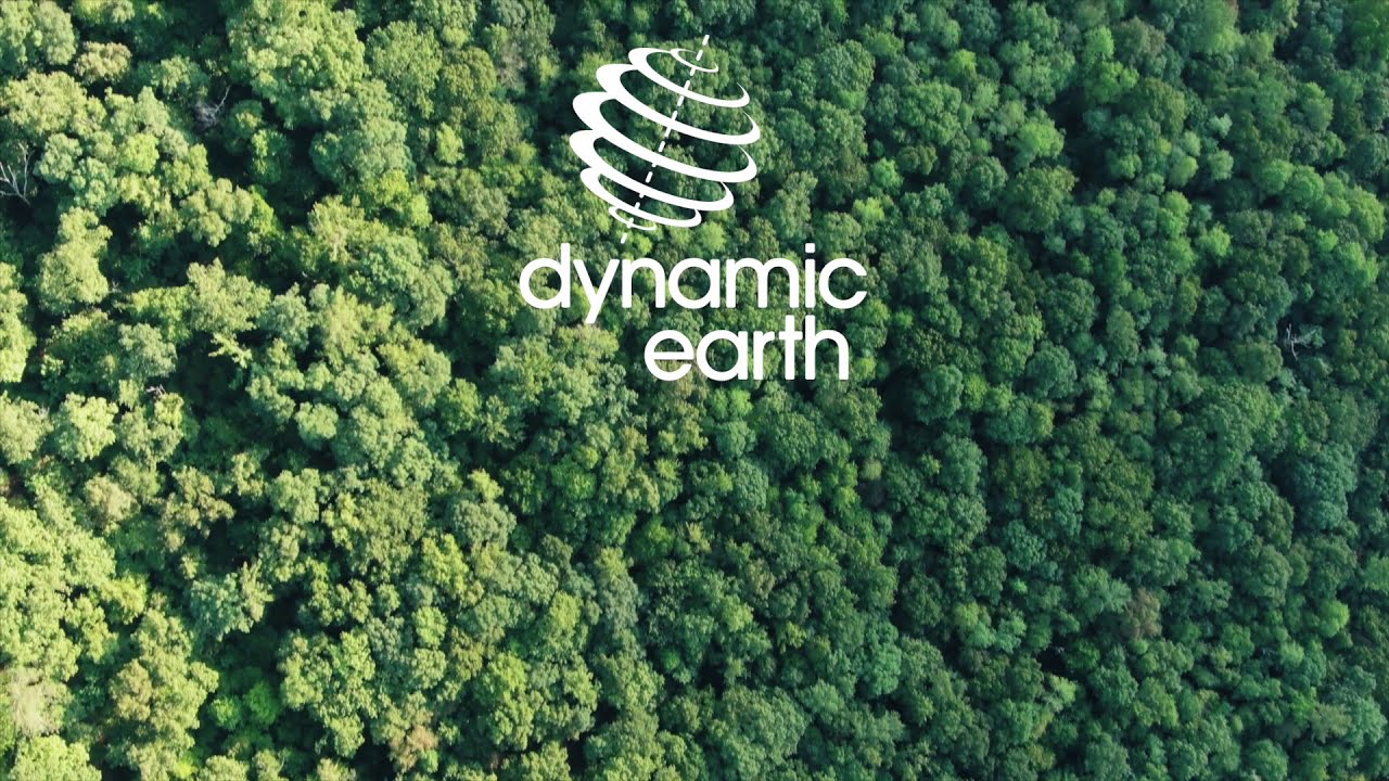 Why are Rainforests Important?