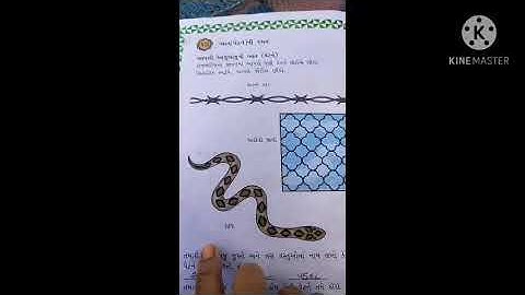 std 3 maths date 13/1/2021 unit 10 pattern ni Ramat