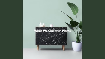 Relaxing Backdrops for Decompressing Peace