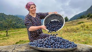 Harvested a Huge Bowl of Plums! The Hermit Family Makes Winter Preparation