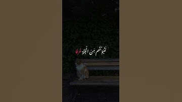 { وَالَّذِينَ آمَنُوا وَعَمِلُوا الصَّالِحَاتِ } ~ سوره العنكبوت ~ عبد الرحمن مسعد #قرآن