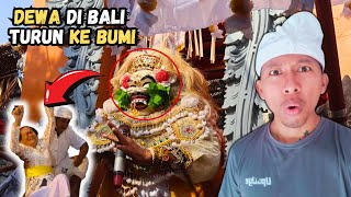 Upacara Langka Di Bali Bendesa Manik Mas Sangsit