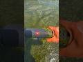 JBL essential 2 water testing 🫧🫧💦