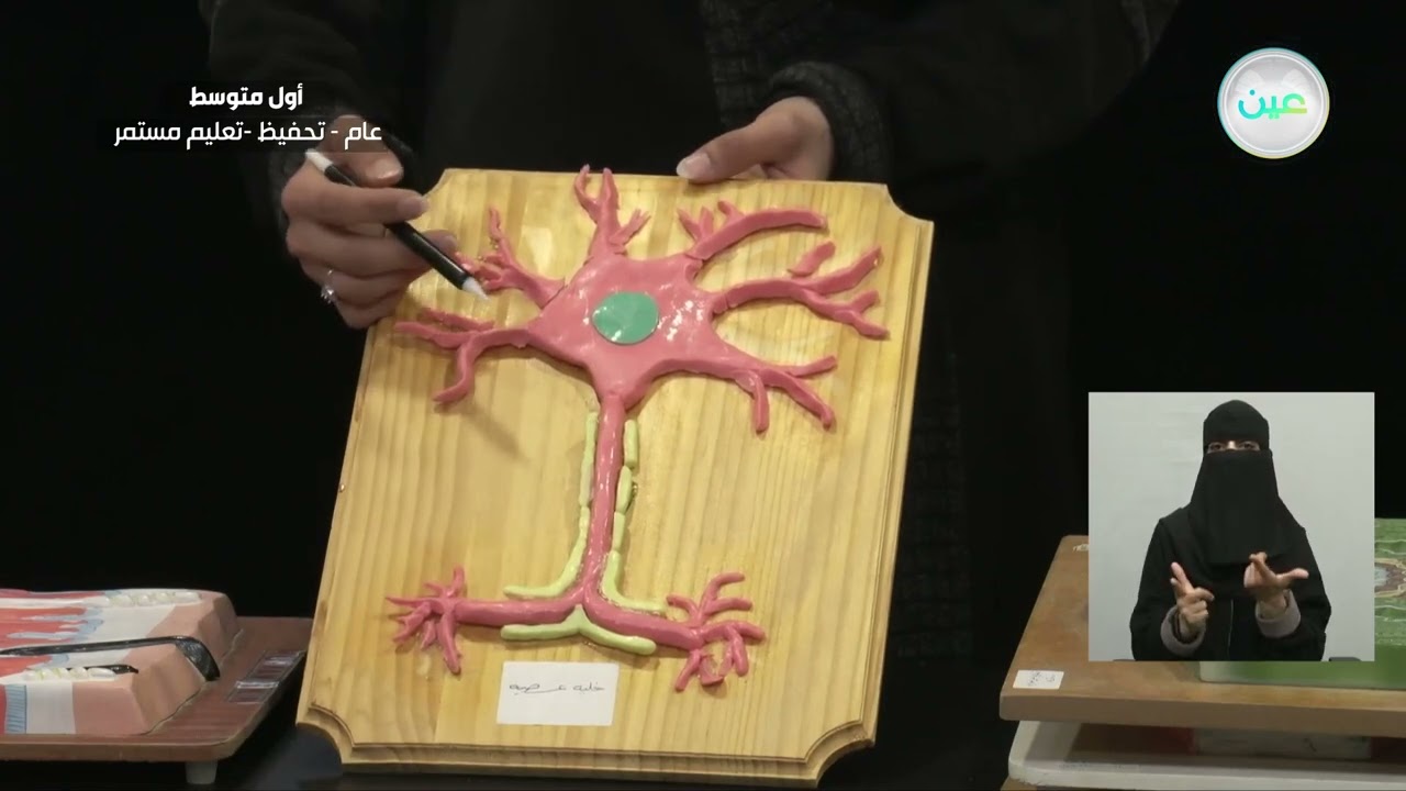 وظائف الخلايا ( خلايا متخصصة لوظائف خاصة) - العلوم - أول متوسط