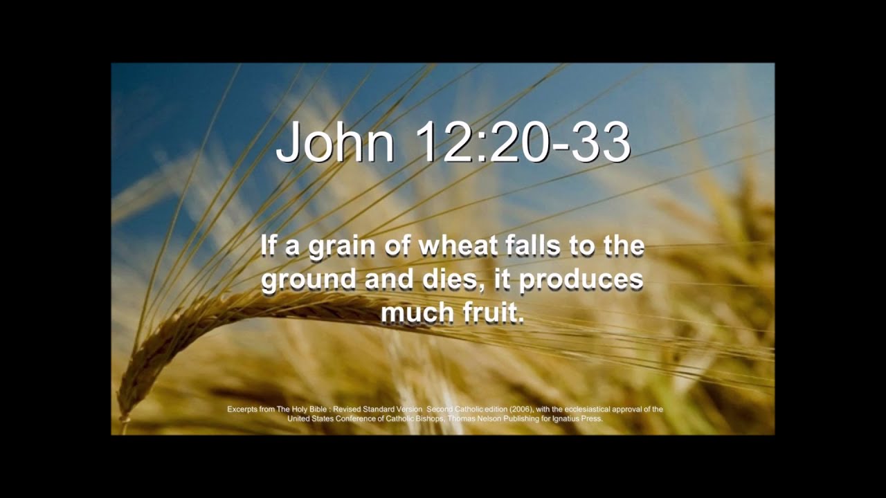 John 12 20 33 YouTube