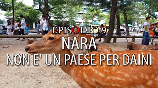 [EP.9] NARA, NON E UN PAESE PER DAINI - MAMMA, VADO IN GIAPPONE