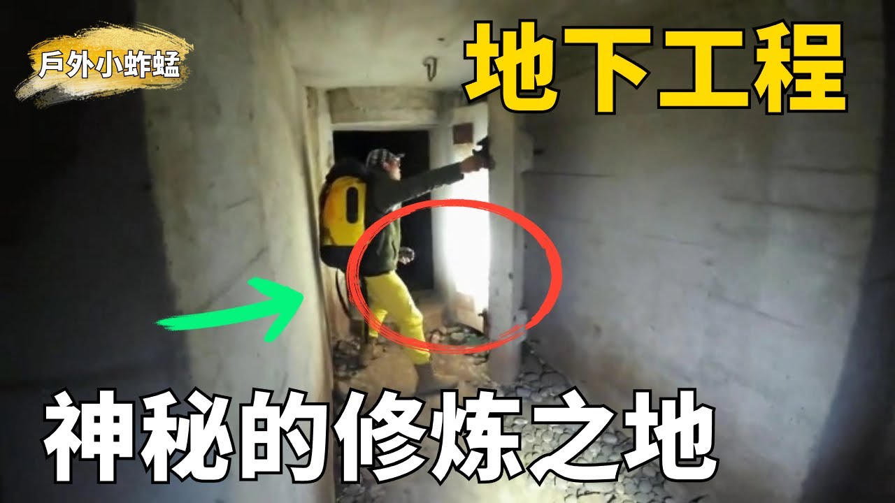 探秘电视剧