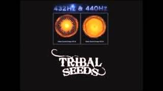 Tribal Seeds Feat Raiatea - Dawn Of Time [432 Hertz]