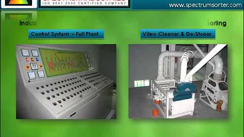 Color Sorting Machine Manufacturer in India