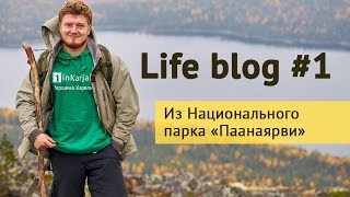 Life blog #1 Восхождение на гору Кивакка и самая высокая гора Карелии