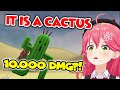 Miko meets the legendary cactus "Cactuar" in FFX