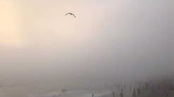 Santa Monica California