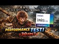 Black Myth Wukong Intel Iris Xe gaming test || i7-1355u || 1080p /900p/720p