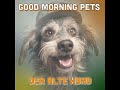 GMP 6: Goldene Pfotenjahre - Der Alte Hund