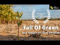 lost Moments: Fall Of Green - Documentary | Officially Screened at ByOff Film Festival 2018