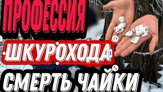 ПРОФЕССИЯ ШКУРОХОД -НАРКО ЧАЙКА //СМЕТЬ НАРКО-ЧАЙКИ